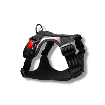 Black dog harness with a red button on a white background