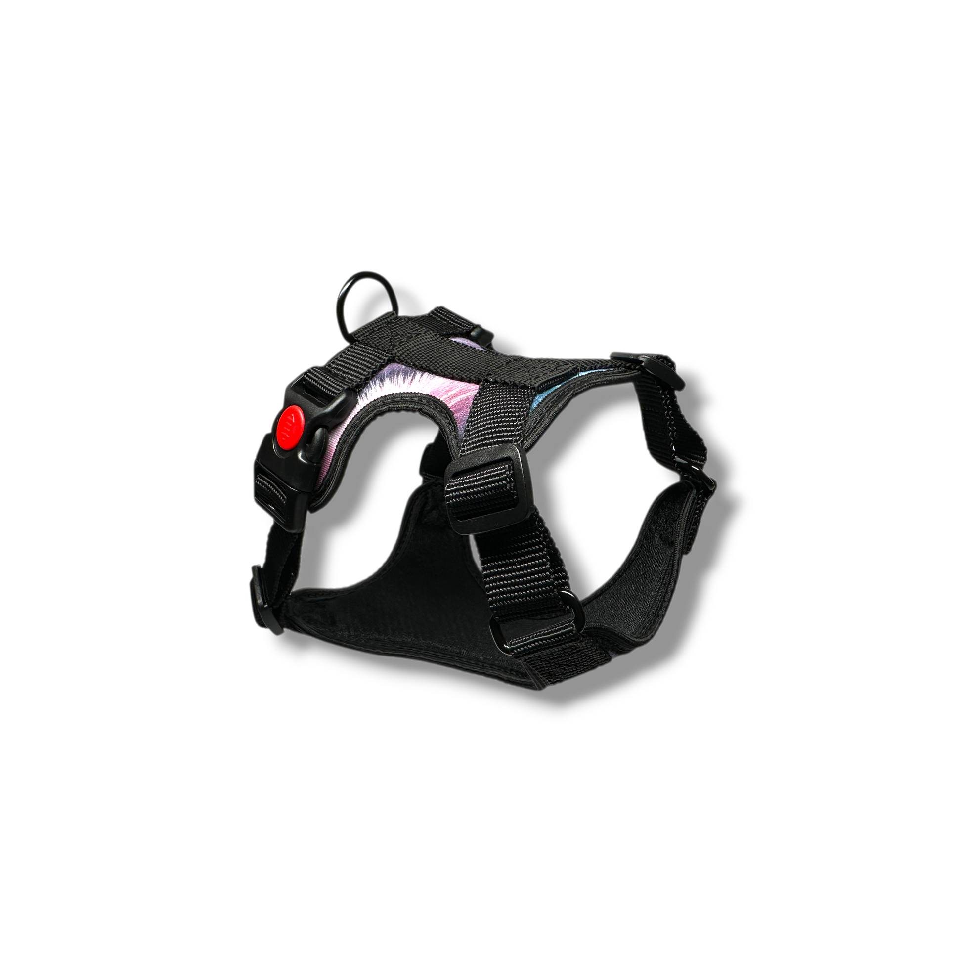 Black dog harness on a white background