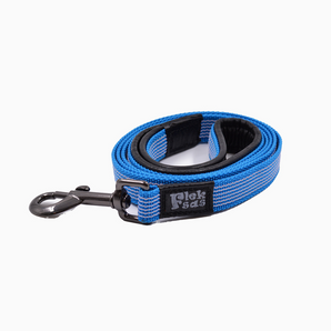 Blue Leash with Padded Leather Handle