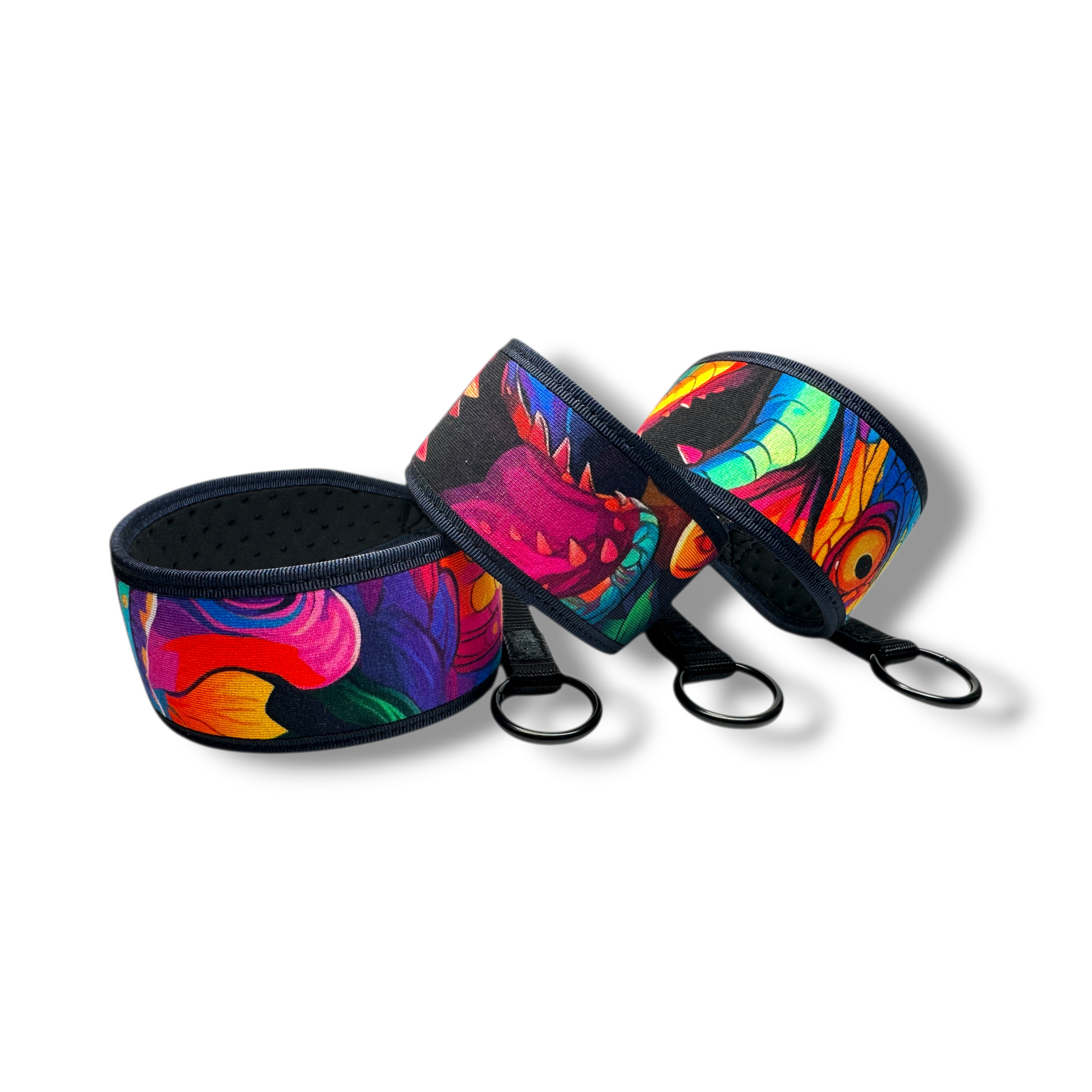 Colorful dog collar  set on a white background