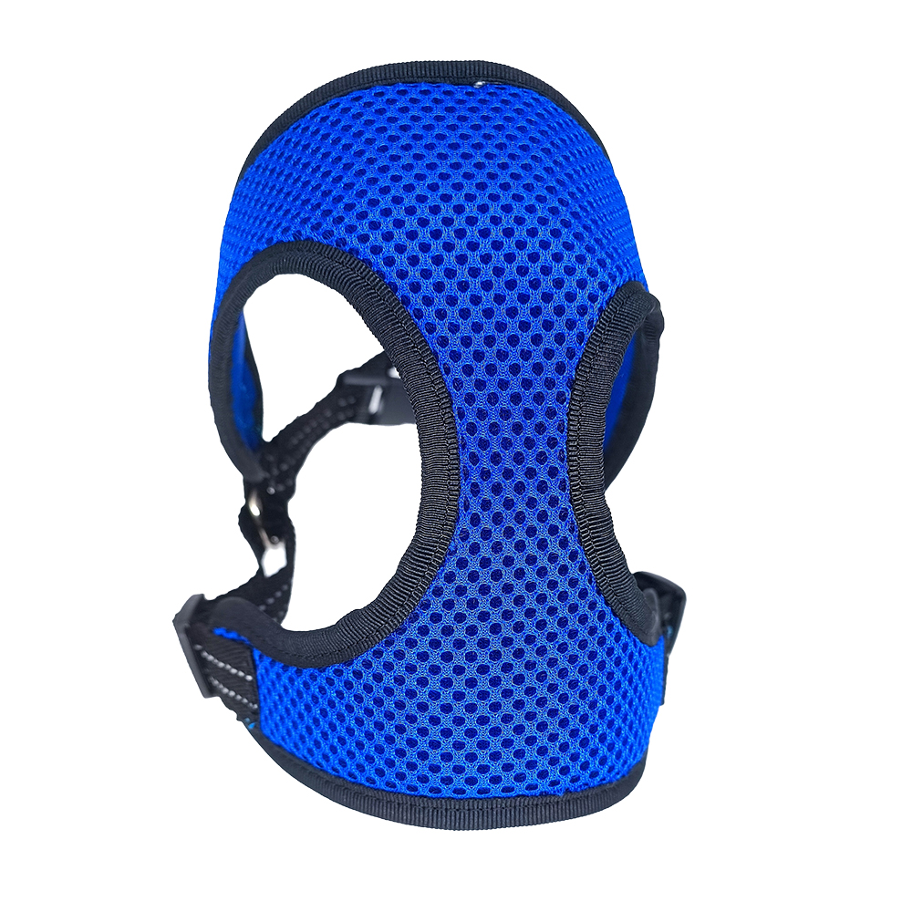 SpectrumSafe Harness Assortment