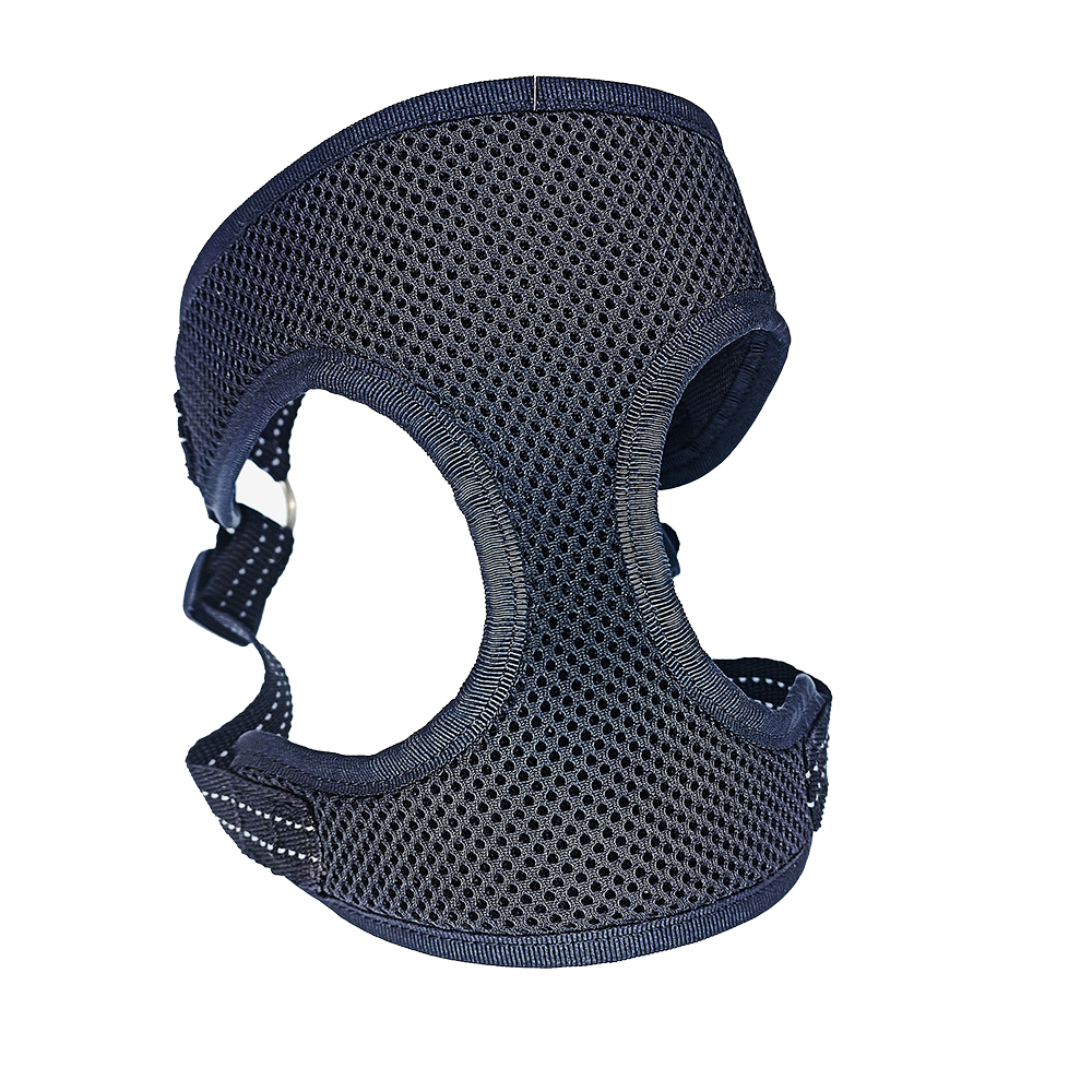 SpectrumSafe Harness Assortment