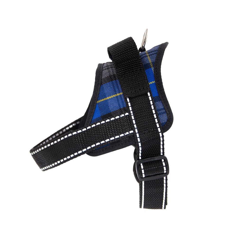 Mėlynos petnešos su rankena „StepMaster“