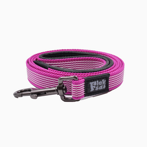 Pink Padded Leash with leather handle