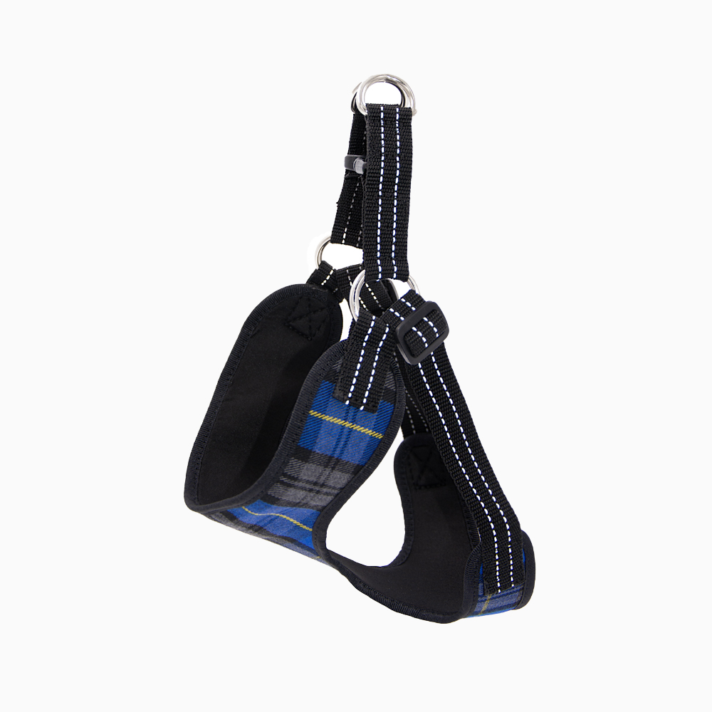 Petnešos mažų ir vidutinių veislių šunims Saulėtos Pėdutės