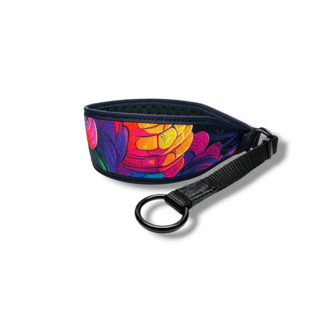 Colorful floral-patterned martingale collar with a black ring on a white background