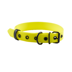 Sunny Yellow Dog Collar for Style and Safety