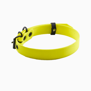 Sunny Yellow Dog Collar for Style and Safety