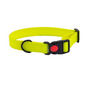 Bright Yellow Dog Collar with Plastic Buckle