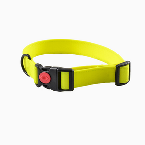 Bright Yellow Dog Collar with Plastic Buckle