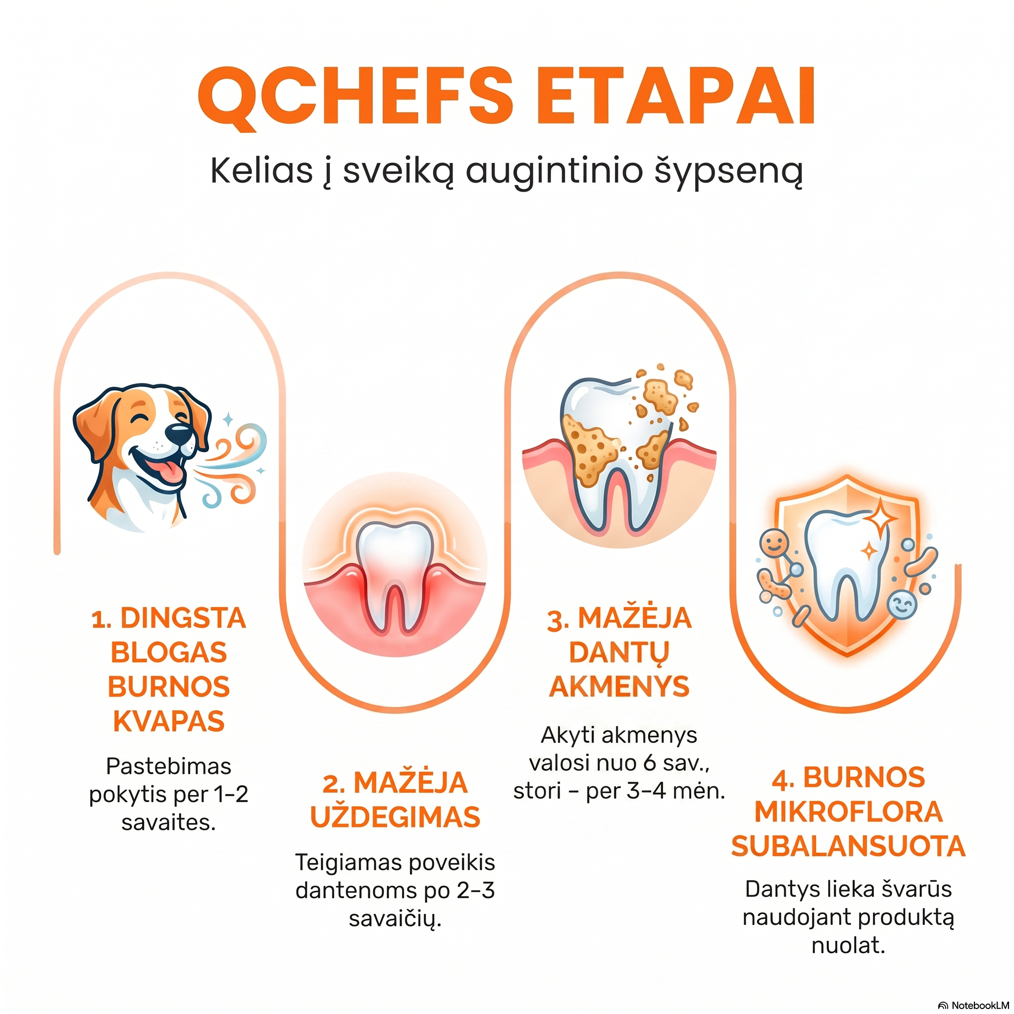 QCHEFS Dog Treat Dental Flakes 90 g