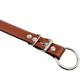 Craftsman's Blend Leather & Nylon Playful Collar