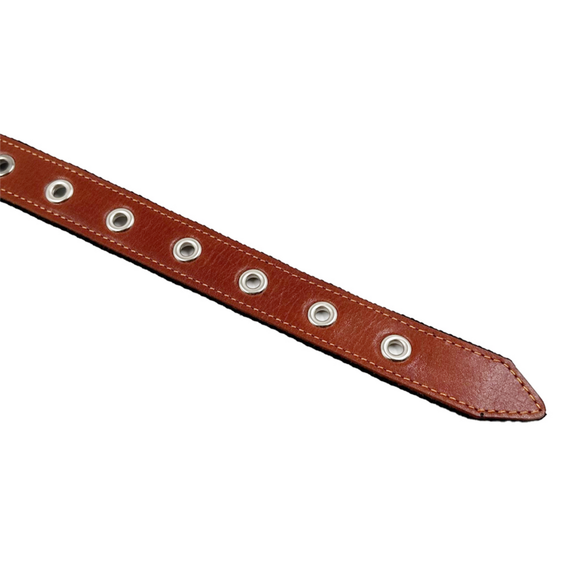 A brown leather pet collar with a metal buckle and nylon accents.