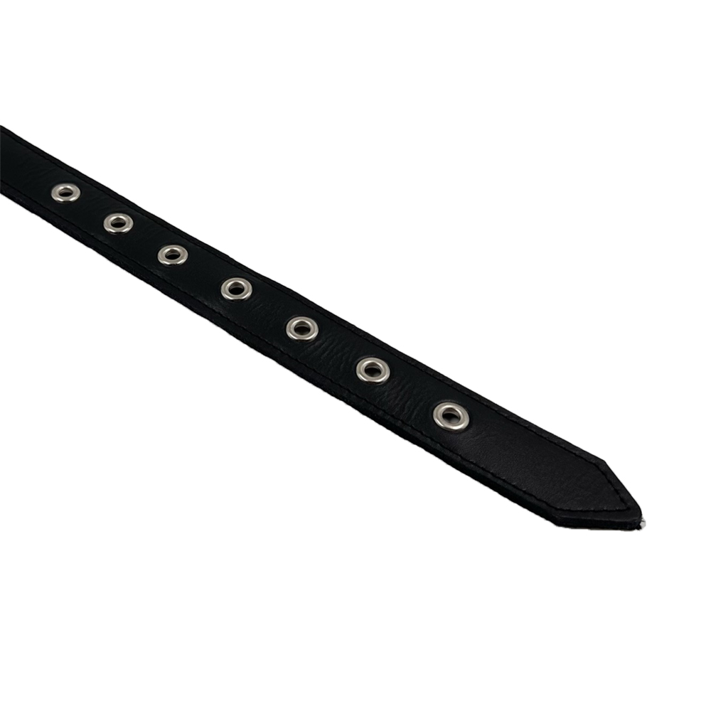 Žaismingo odos ir nailono mišinio antkaklis šunims Pasiklydę miške