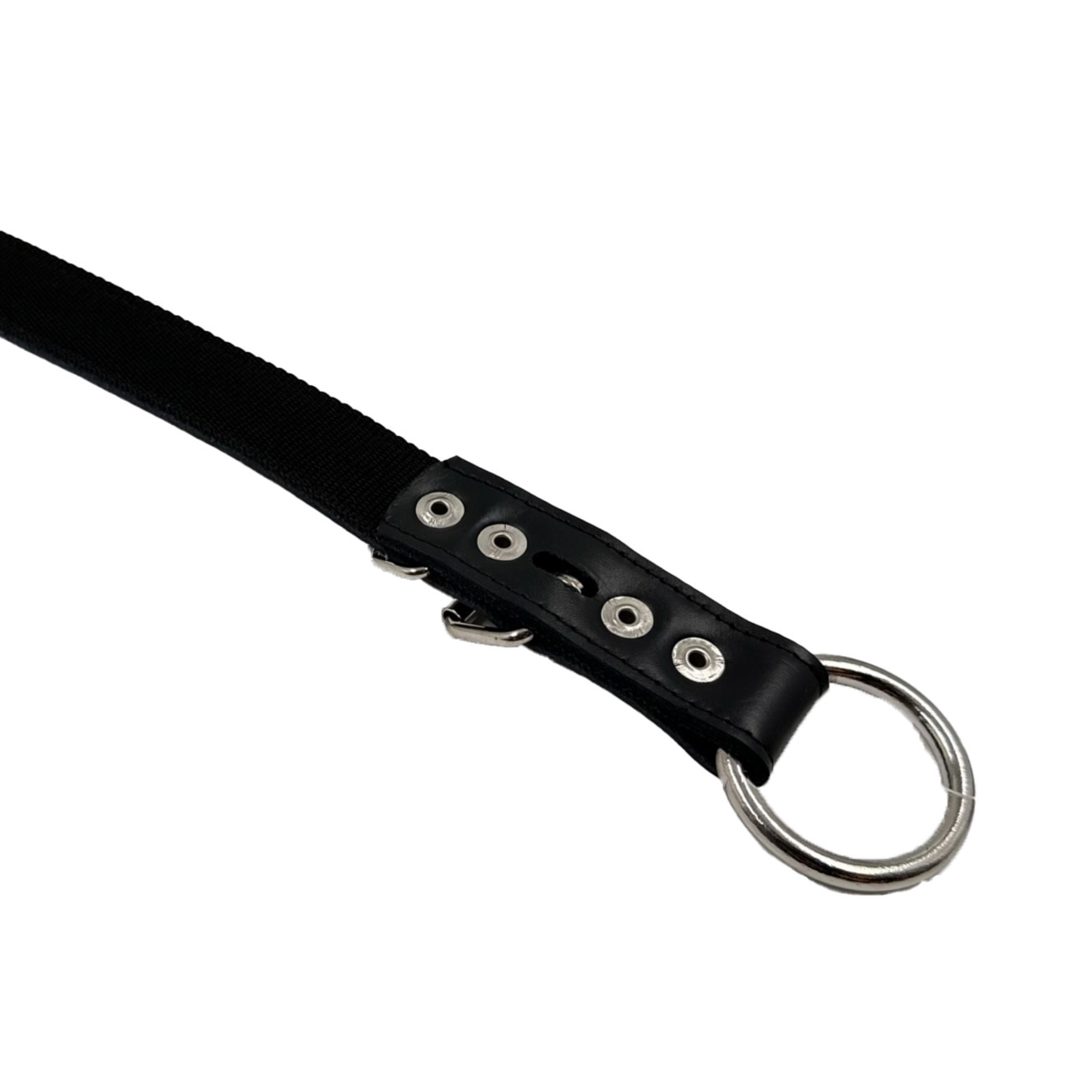 Žaismingo odos ir nailono mišinio antkaklis šunims Pasiklydę miške