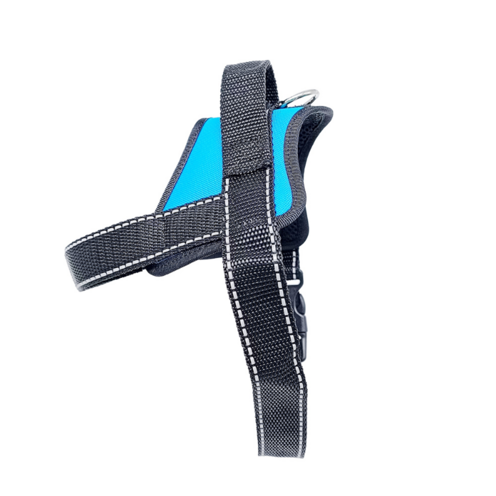 Light blue harness on a white background