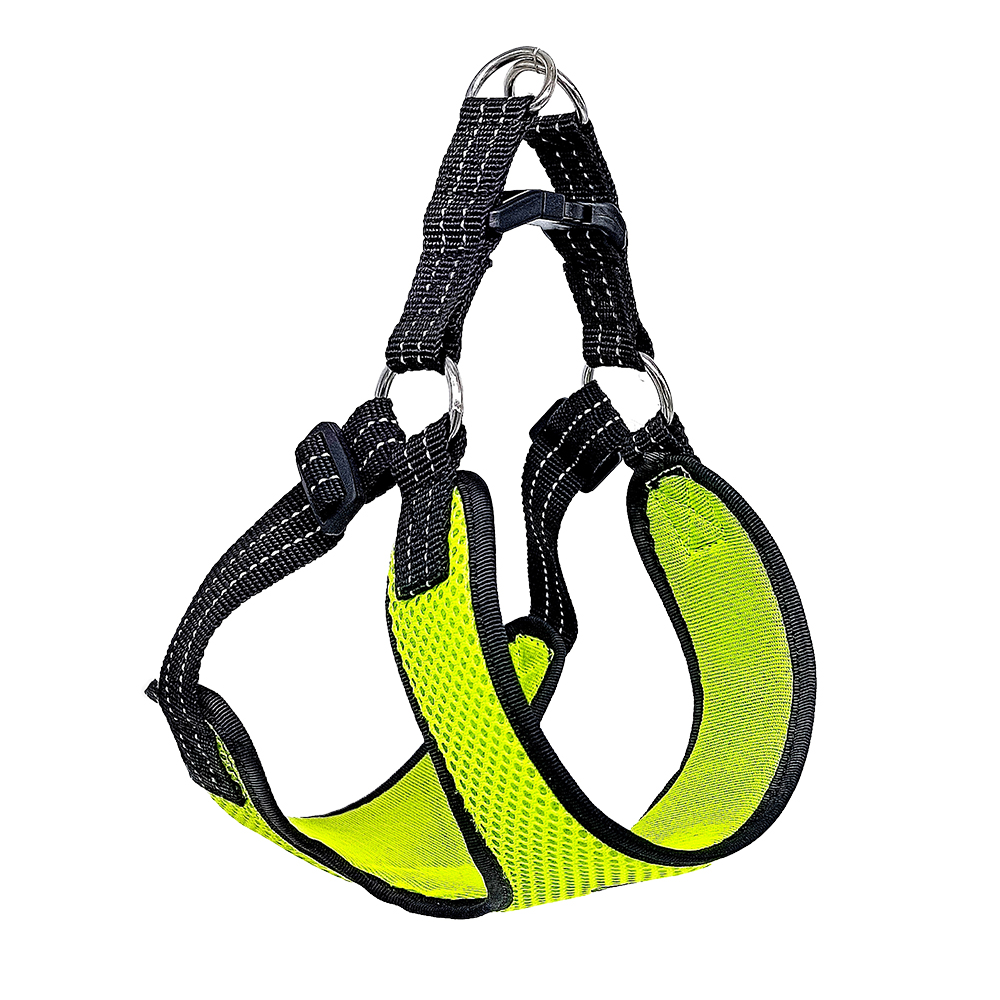 SpectrumSafe Harness Assortment
