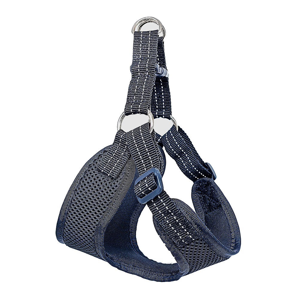 SpectrumSafe Harness Assortment