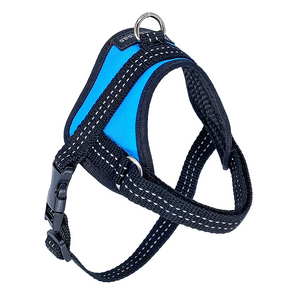 Harness for Small Breeds Blue