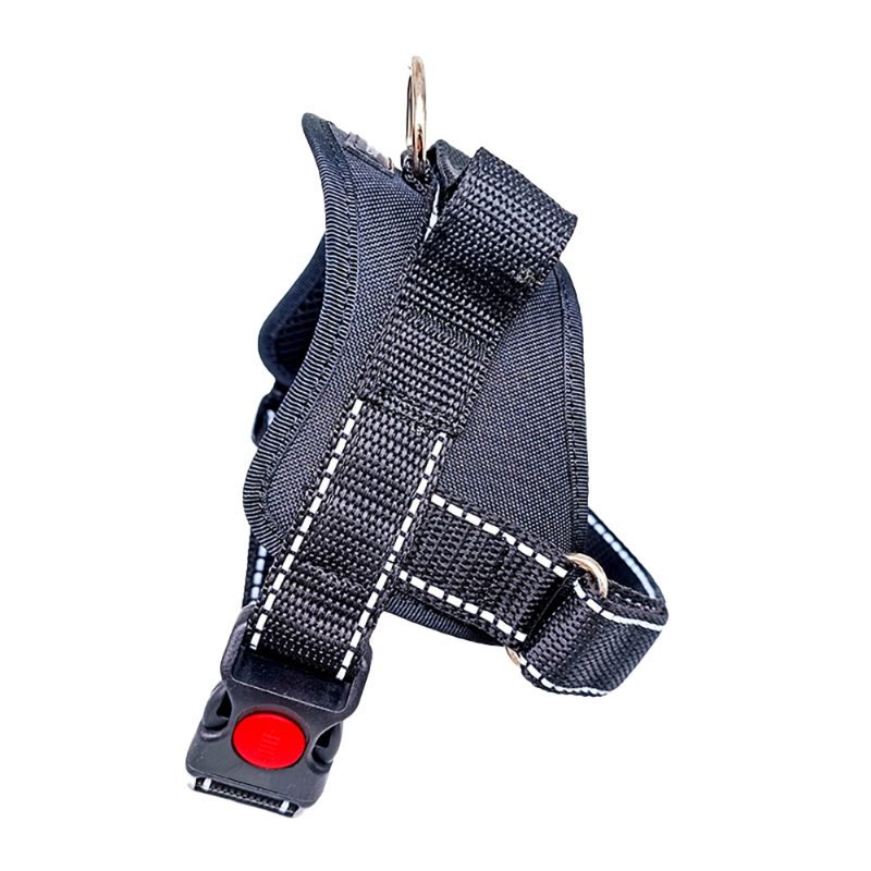 Black harness with red button on a white background