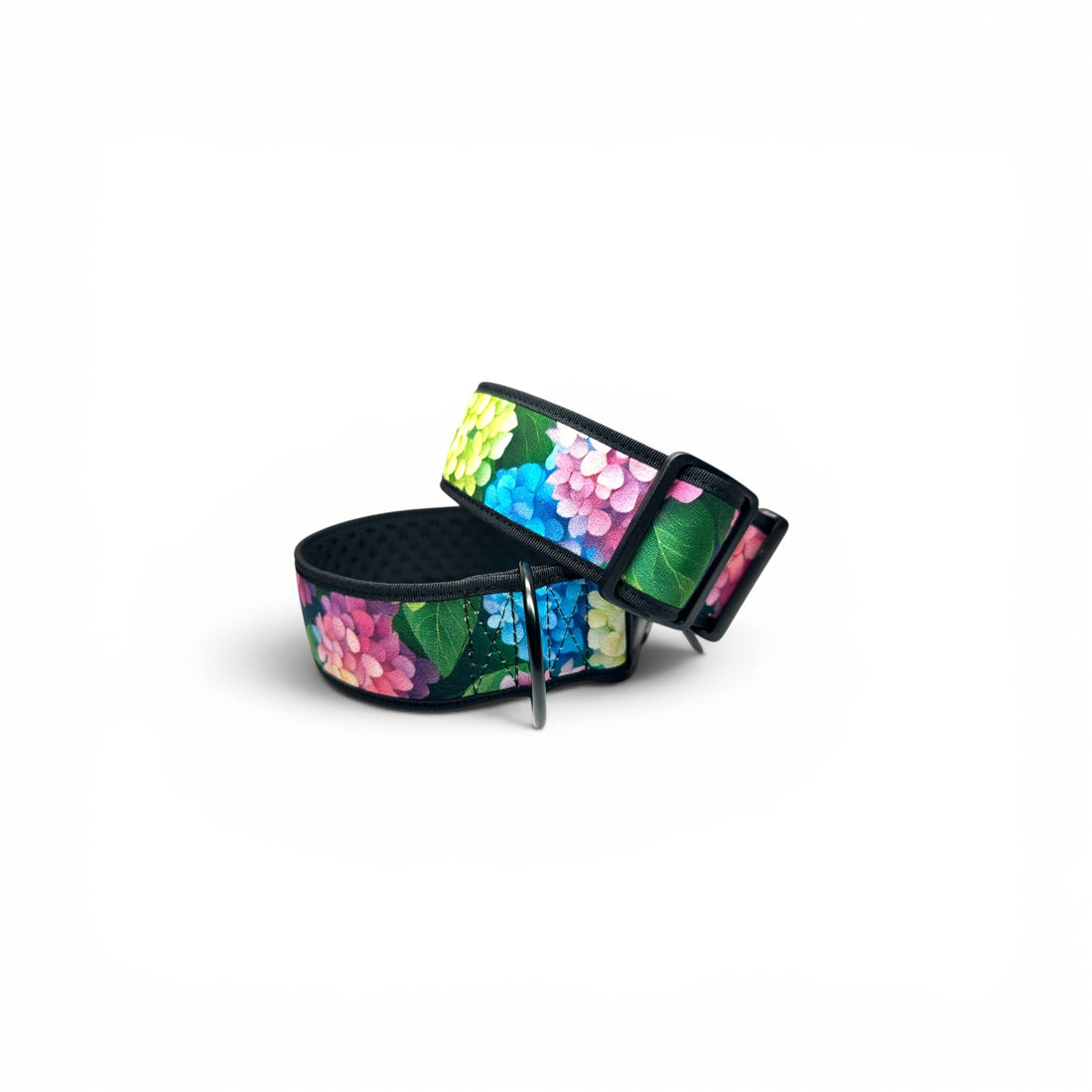 Hydrangea wide dog collar with colourful floral print, black edging and adjustable hardware.