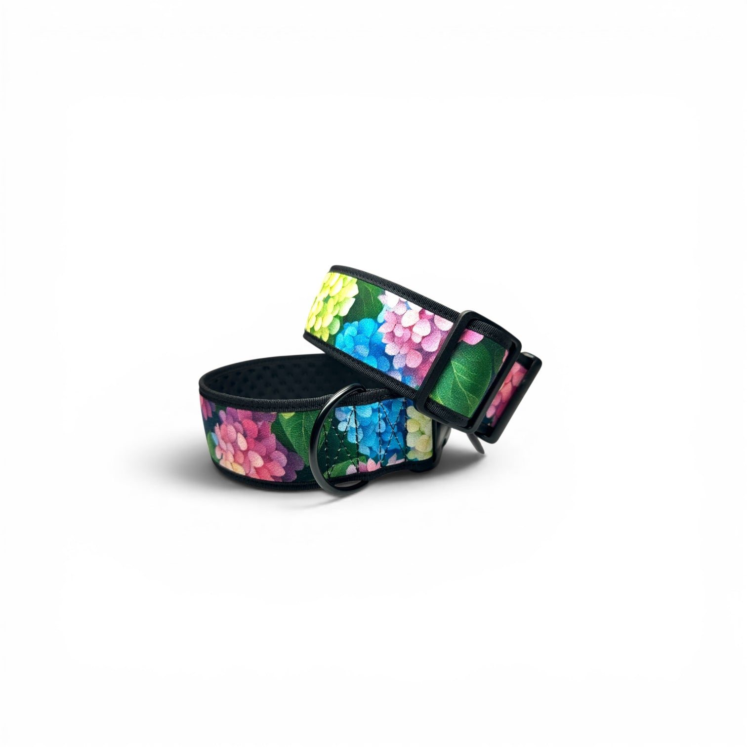 Open 50 mm Hydrangea dog collar showing the adjustable strap, buckle, D-ring and neoprene lining.