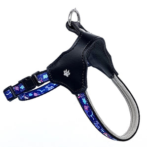 Blue Pet Harness for Small breads with Color Heart